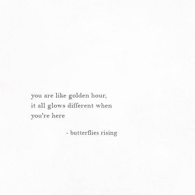 you are like golden hour, it all glows different when you're here - butterflies rising