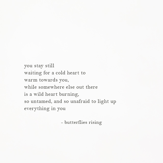 somewhere else out there is a wild heart burning