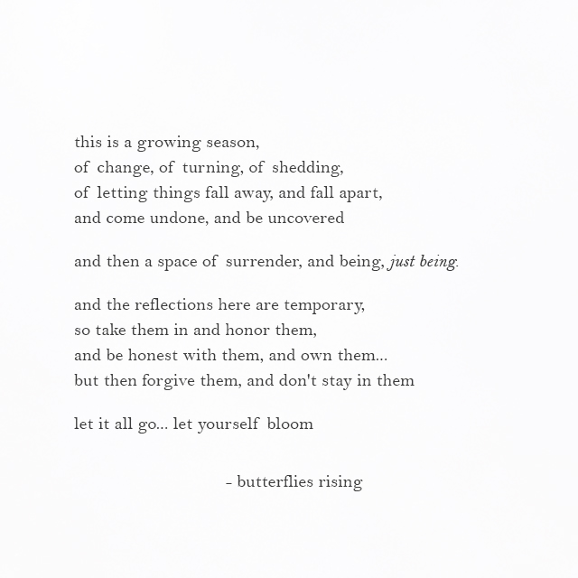 this is a growing season, of change, of turning, of shedding