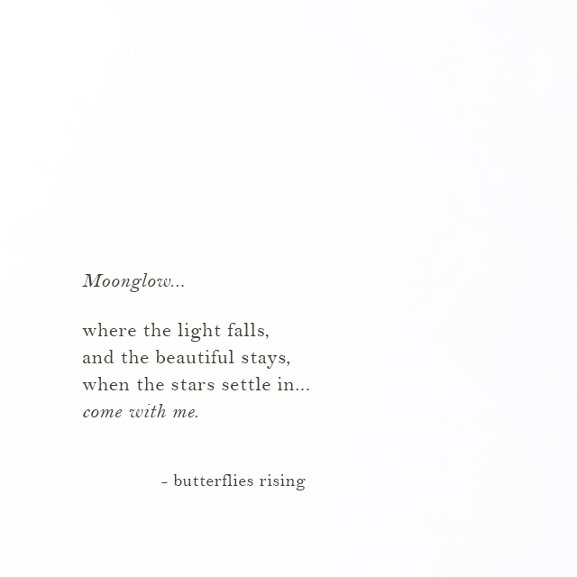 where the light falls, and the beautiful stays