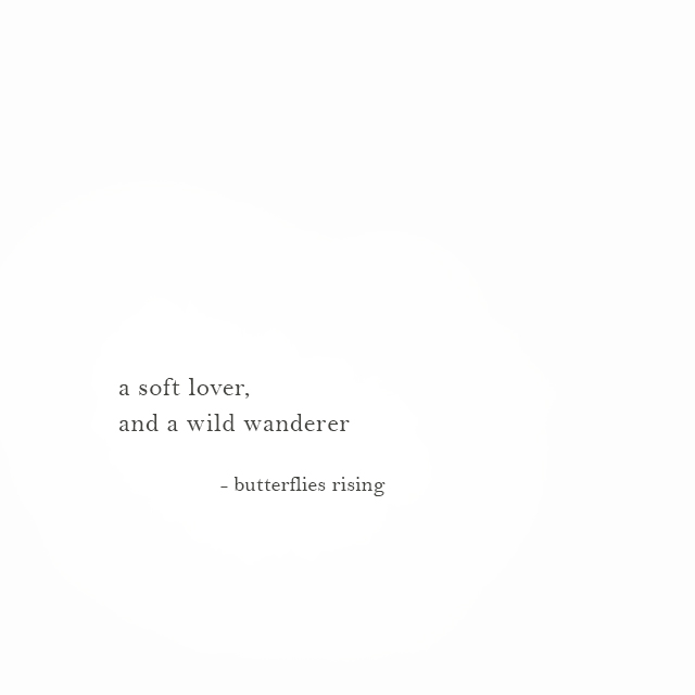 a soft lover, and a wild wanderer - butterflies rising