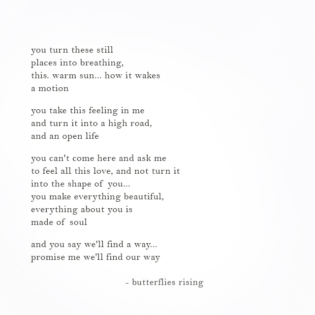 you turn these still places into breathing