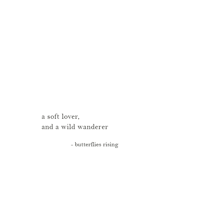 a soft lover, and a wild wanderer - butterflies rising