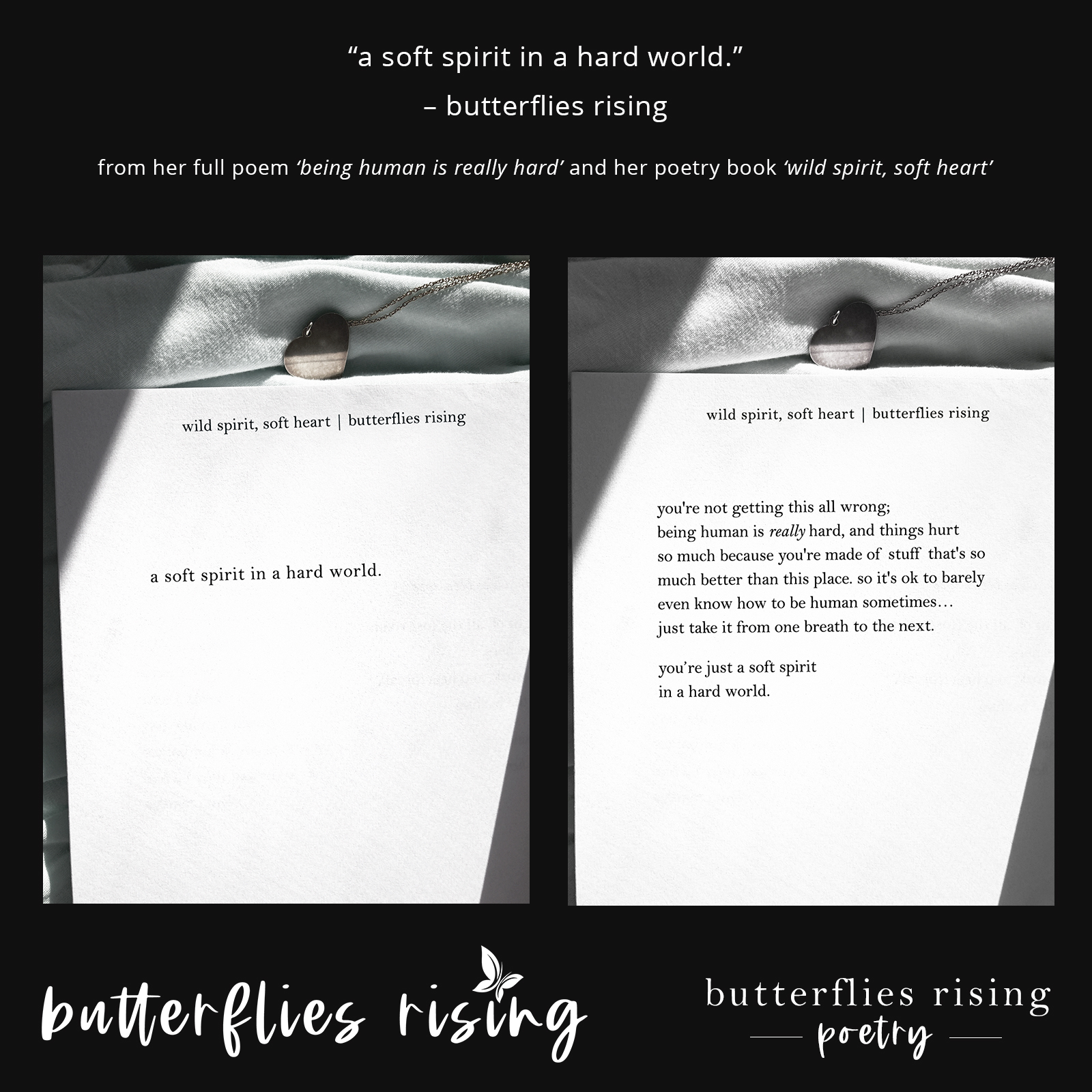 a soft spirit in a hard world