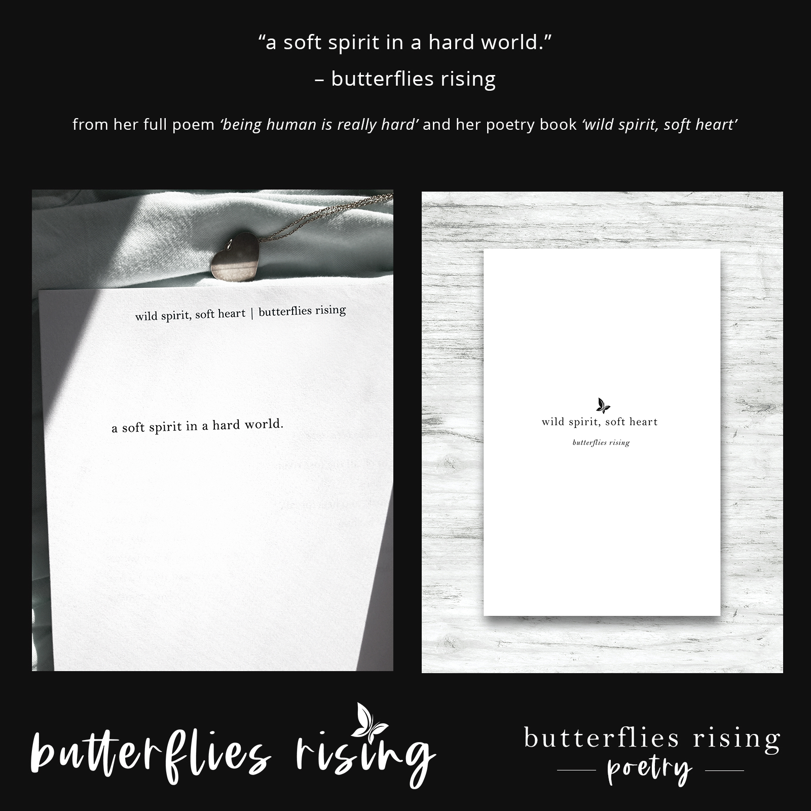 a soft spirit in a hard world