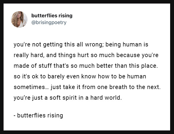 you're not getting this all wrong; being human is really hard