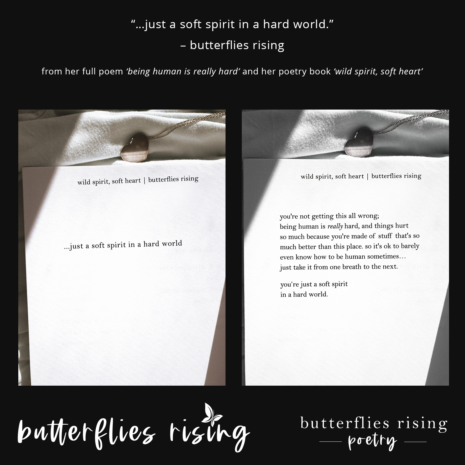 just a soft spirit in a hard world