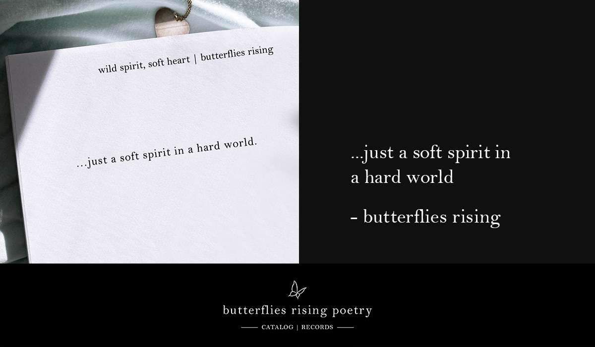 a soft spirit in a hard world