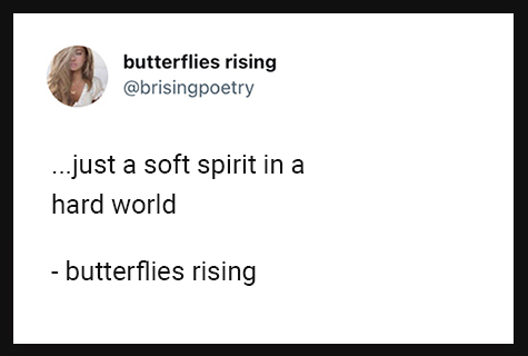 just a soft spirit in a hard world