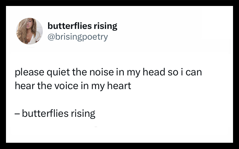 please quiet the noise in my head so i can hear the voice in my heart