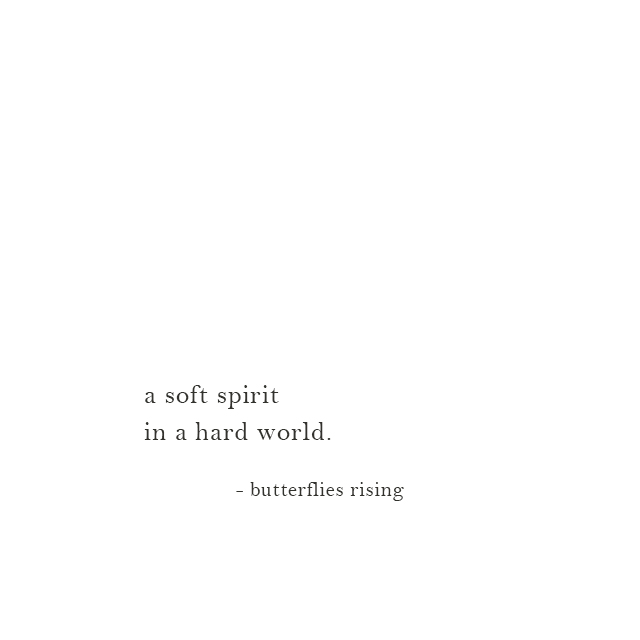 a soft spirit in a hard world. - butterflies rising