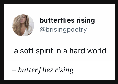 a soft spirit in a hard world