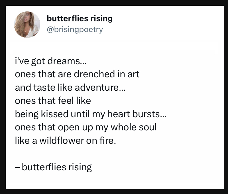 i've got dreams... ones that are drenched in art and taste like adventure