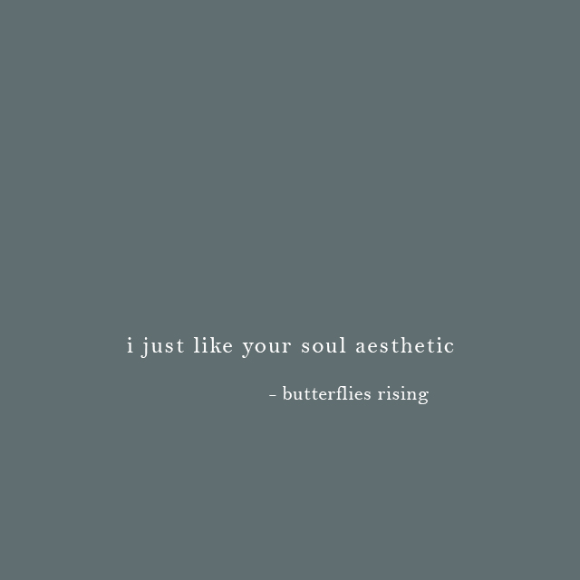 i just like your soul aesthetic - butterflies rising