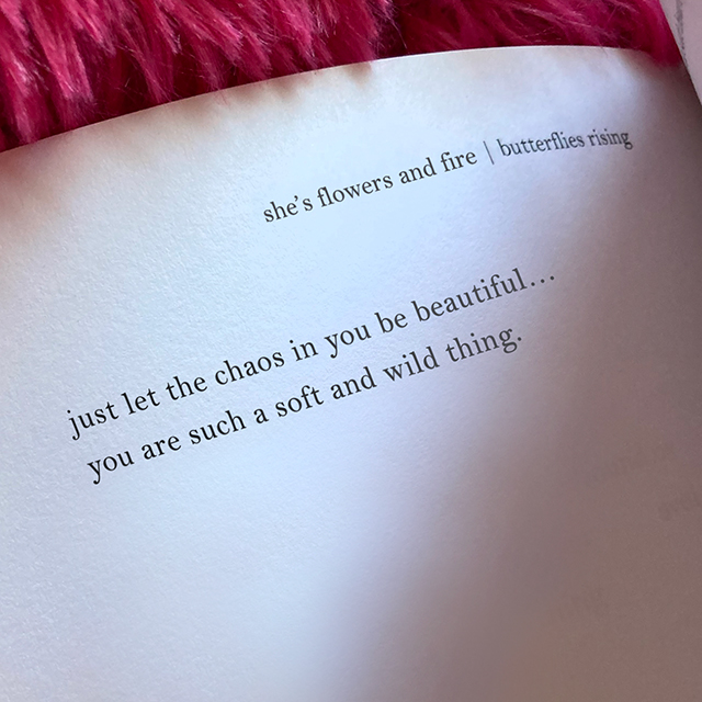 just let the chaos in you be beautiful... you are such a soft and wild thing. - butterflies rising