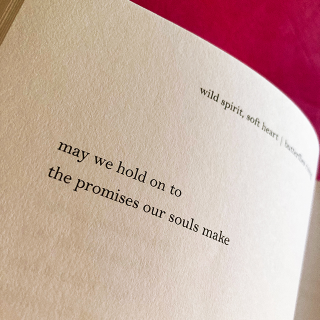 may we hold on to the promises our souls make - butterflies rising