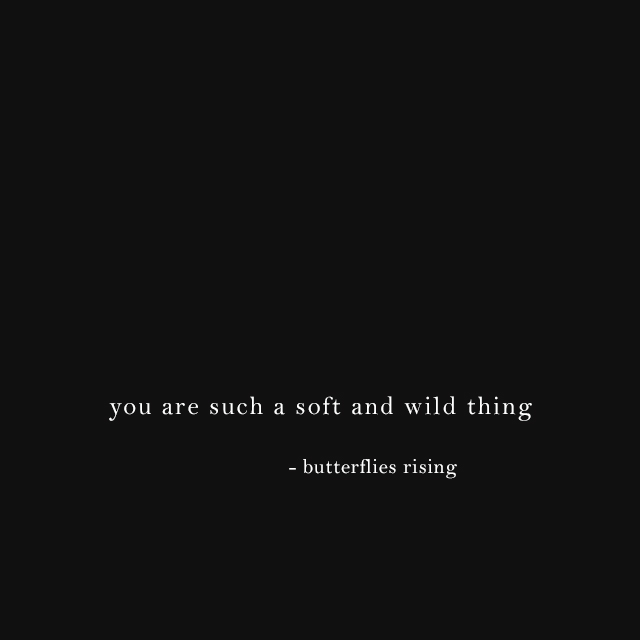 you are such a soft and wild thing - butterflies rising