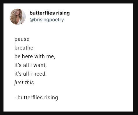 pause breathe be here with me, it’s all i want, it’s all i need, just this.
