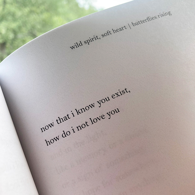 now that i know you exist, how do i not love you - butterflies rising quote