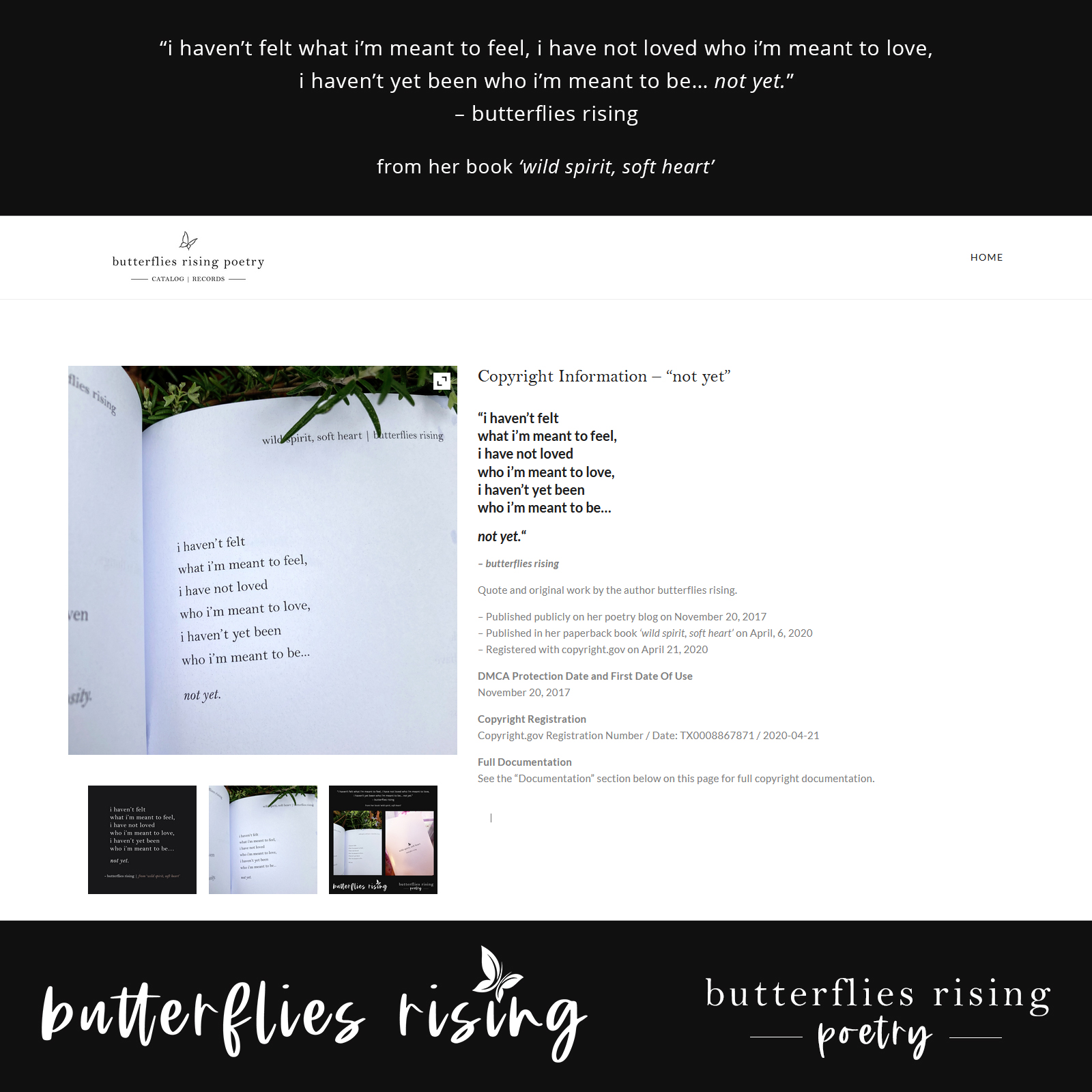 i haven’t felt what i’m meant to feel, i have not loved who i’m meant to love - butterflies rising copyright documentation
