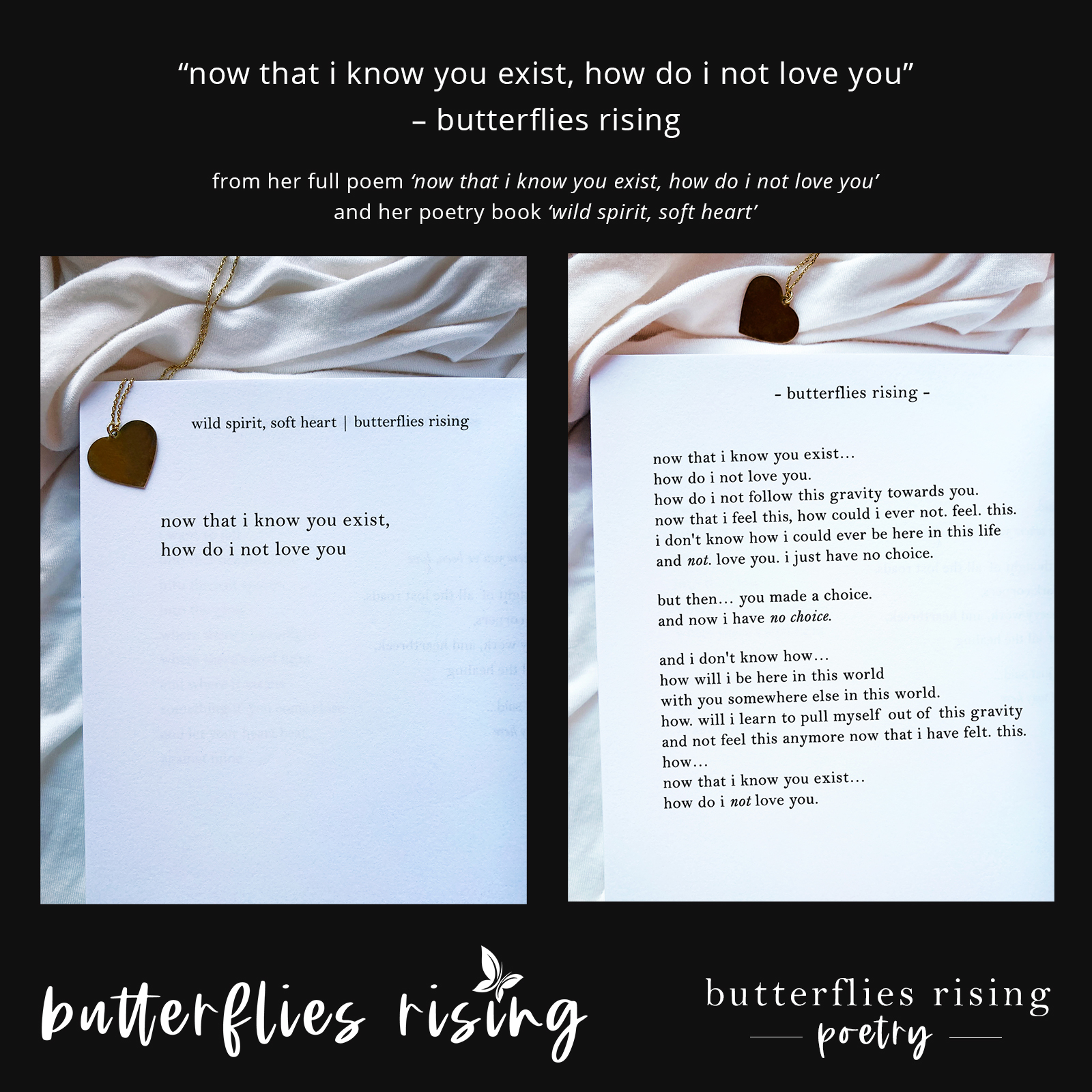 butterflies rising - now that i know you exist, how do i not