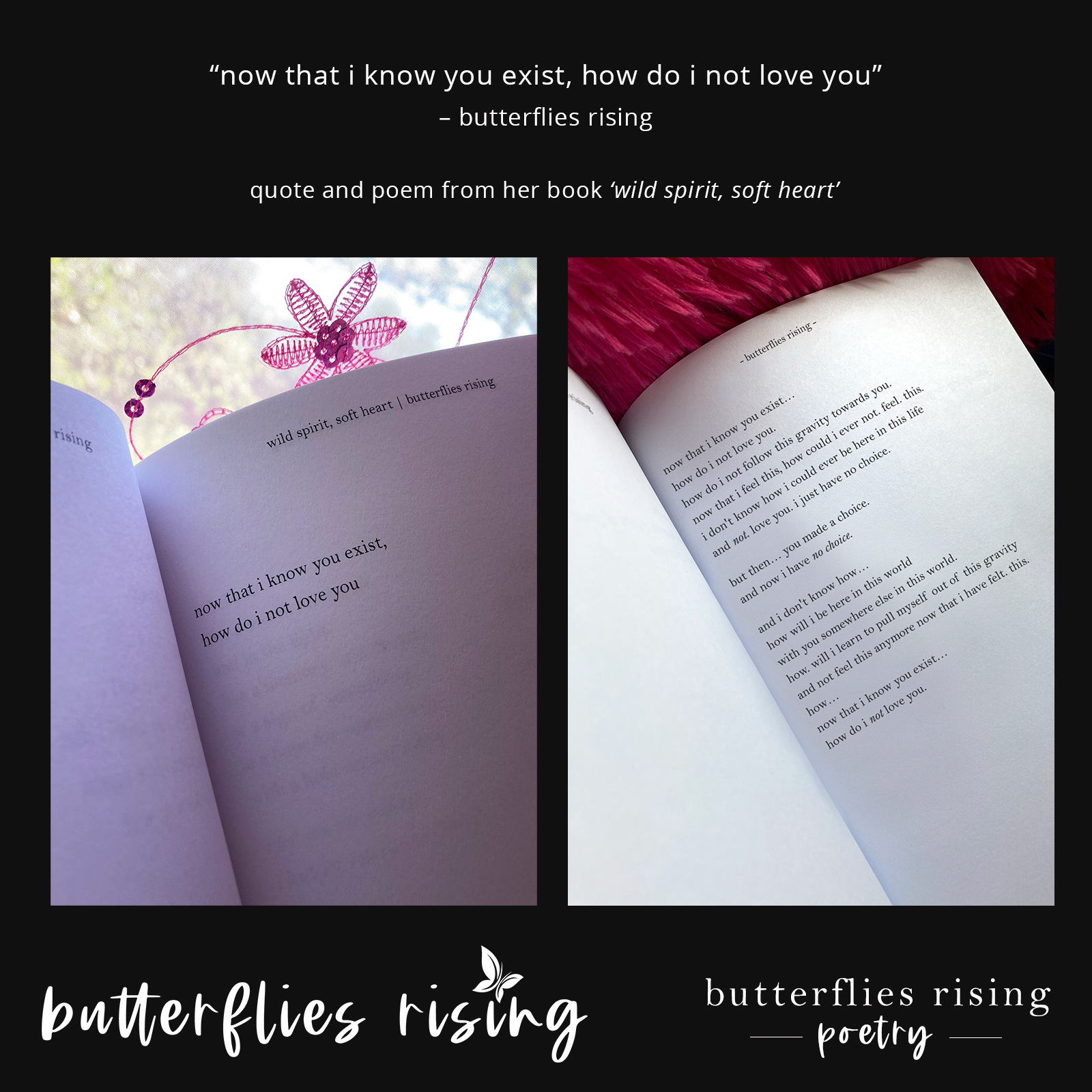 now that i know you exist, how do i not love you - butterflies rising