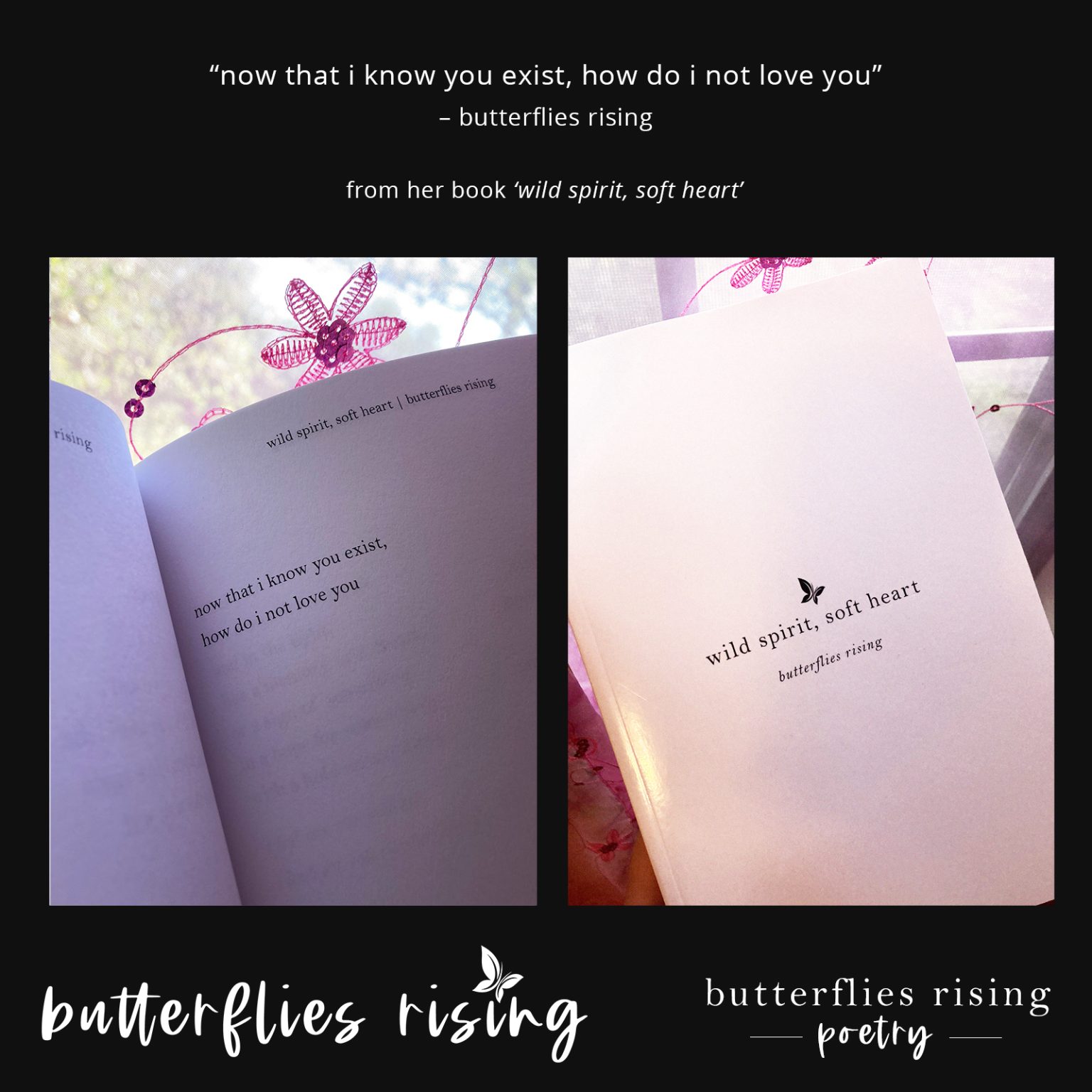 now that i know you exist, how do i not love you butterflies rising quote