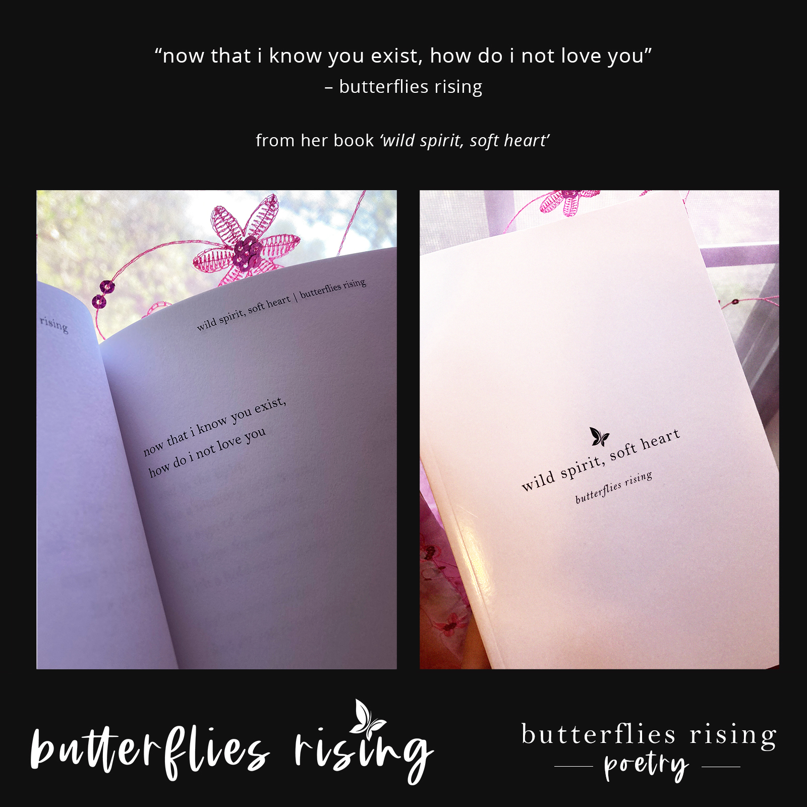 now that i know you exist, how do i not love you - butterflies rising