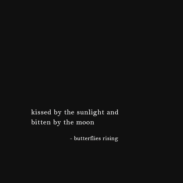 kissed by the sunlight and bitten by the moon - butterflies rising