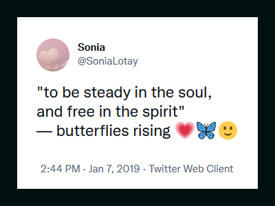 to be steady in the soul, and free in the spirit - butterflies rising