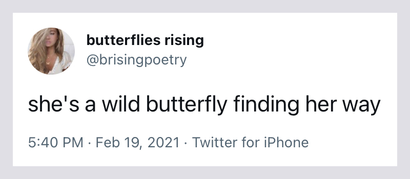 she's a wild butterfly finding her way - butterflies rising
