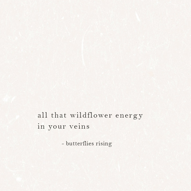 all that wildflower energy in your veins - butterflies rising