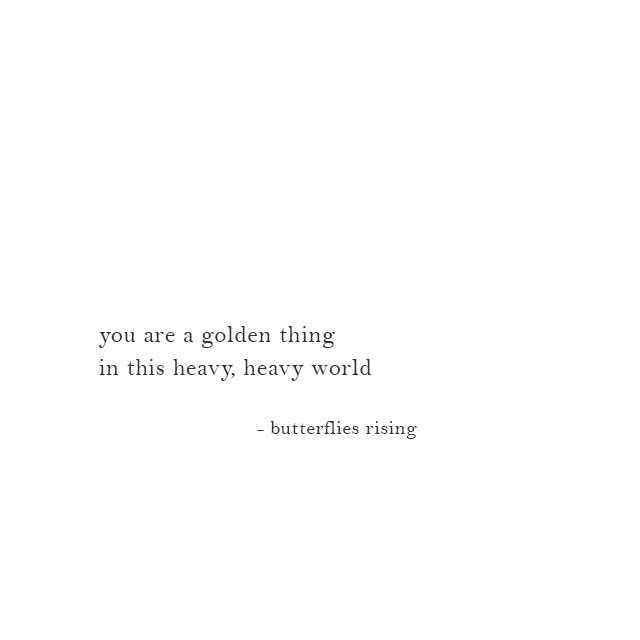 you are a golden thing in this heavy, heavy world - butterflies rising