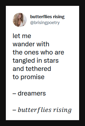 let me wander with the ones who are tangled in stars and tethered to promise - dreamers - butterflies rising