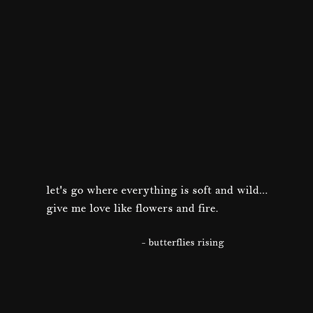 let's go where everything is soft and wild... give me love like flowers and fire. - butterflies rising