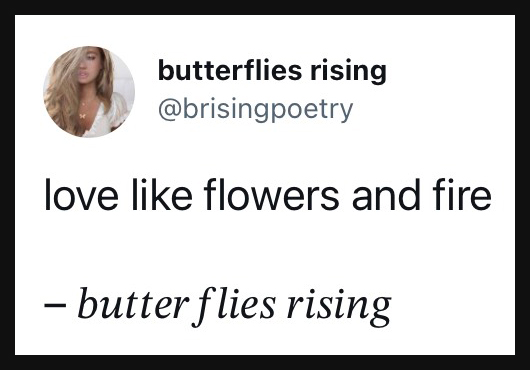 love like flowers and fire - butterflies rising