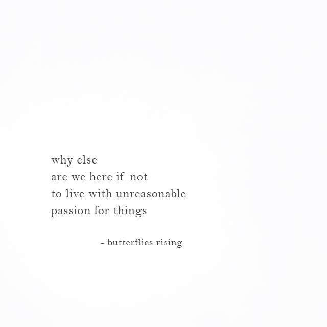why else are we here if not to live with unreasonable passion for things