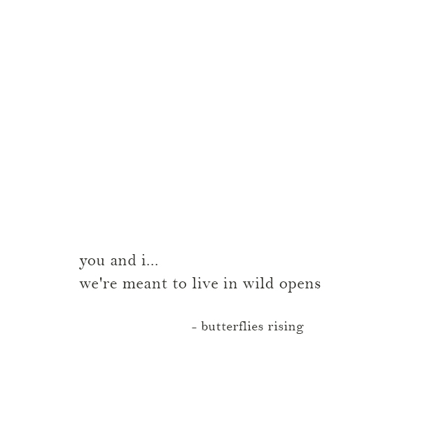 you and i... we're meant to live in wild opens - butterflies rising