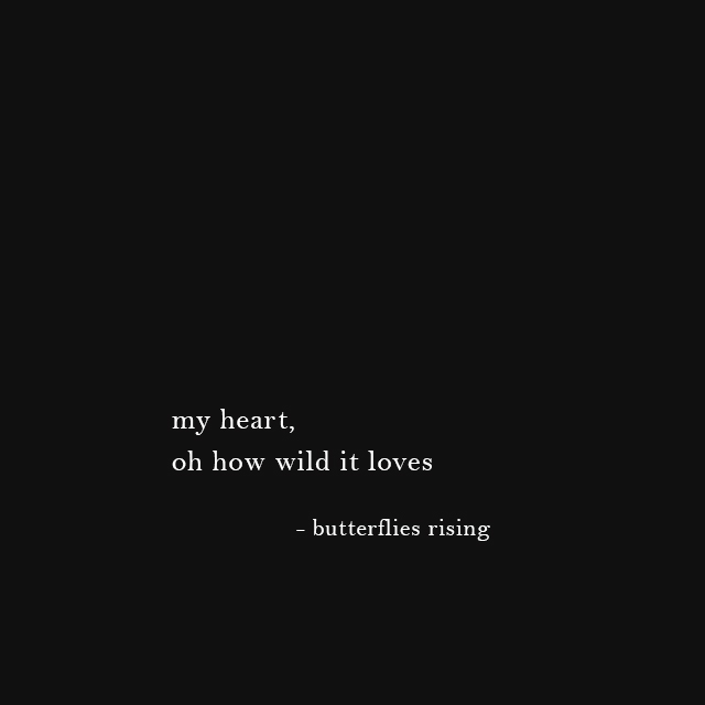 my heart, oh how wild it loves - butterflies rising