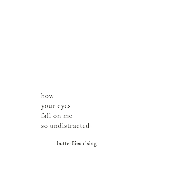 how your eyes fall on me so undistracted - butterflies rising
