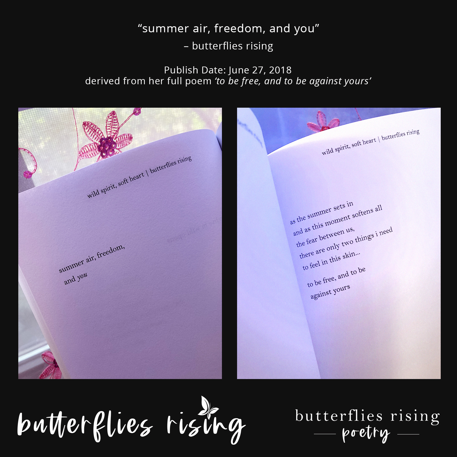 summer air, freedom, and you - butterflies rising