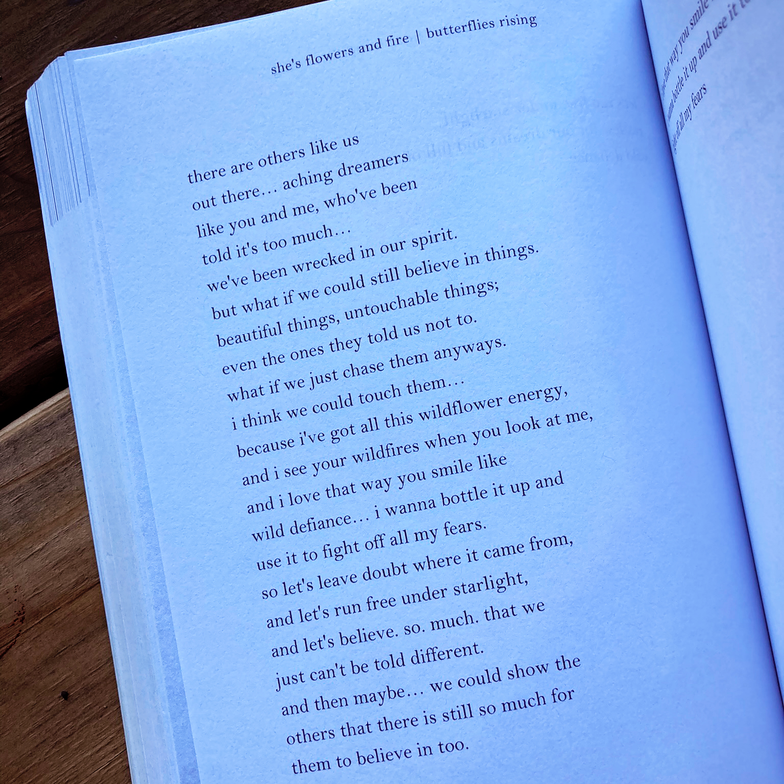 there are others like us out there... aching dreamers like you and me, who've been told it's too much