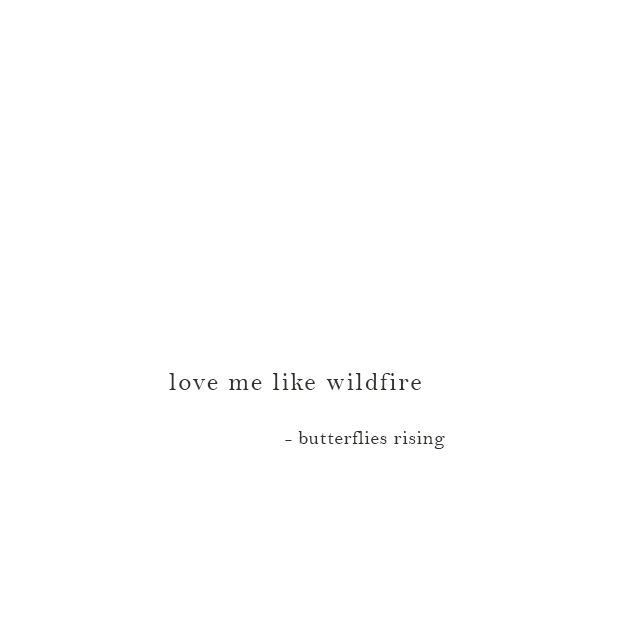 love me like wildfire - butterflies rising