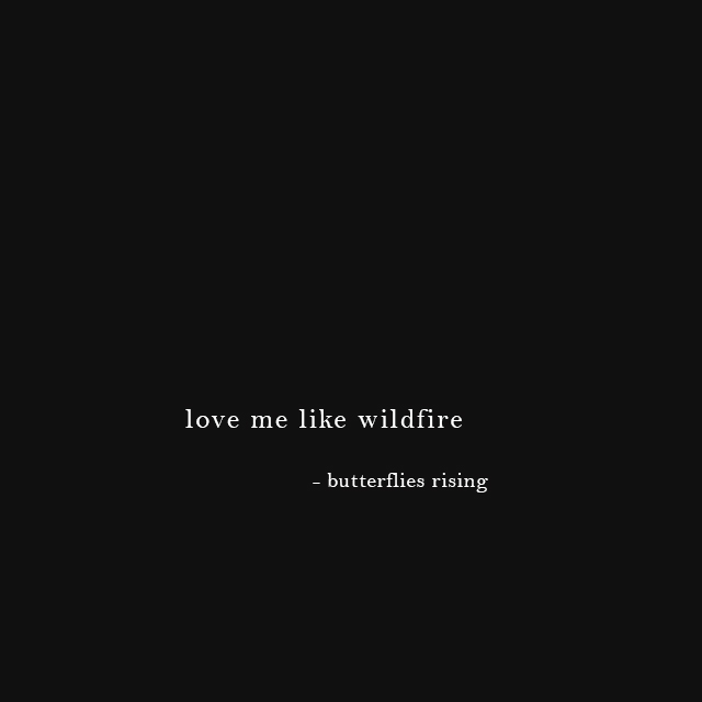 love me like wildfire - butterflies rising