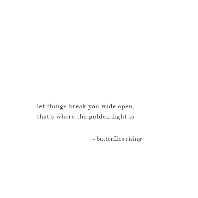 let things break you wide open, that’s where the golden light is - butterflies rising