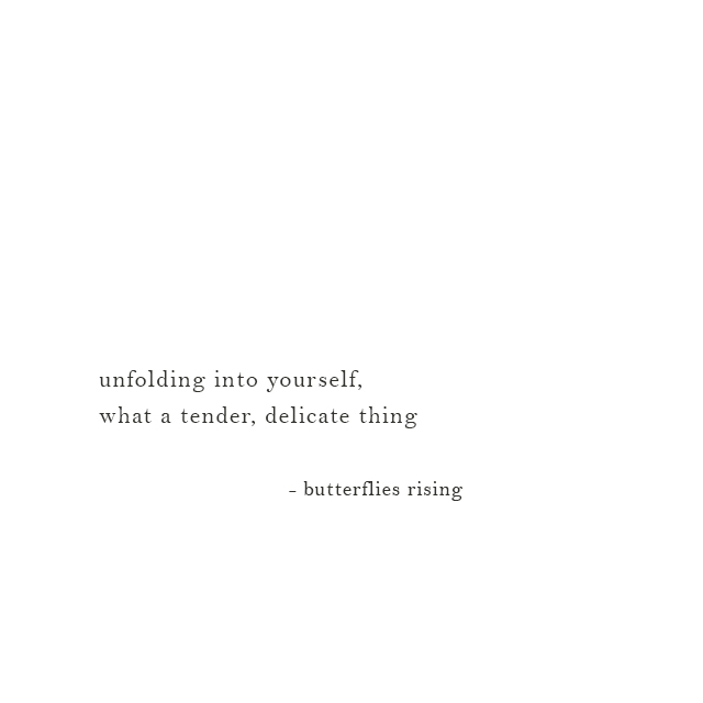 unfolding into yourself, what a tender, delicate thing - butterflies rising