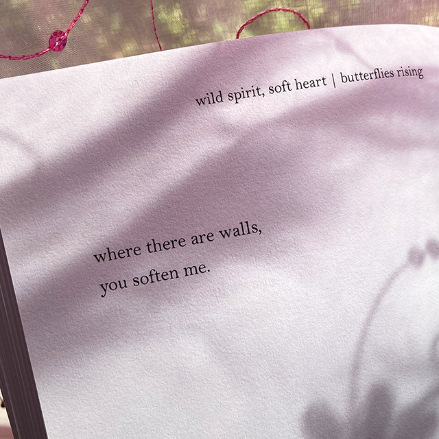 where there are walls, you soften me. - butterflies rising