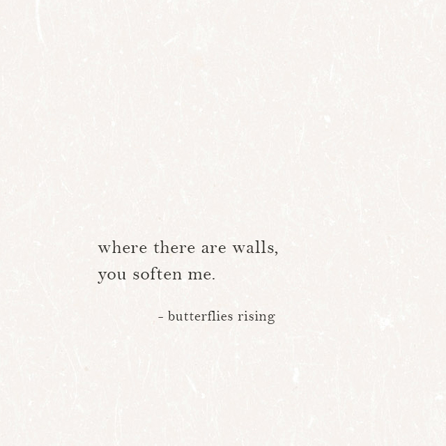 where there are walls, you soften me. - butterflies rising