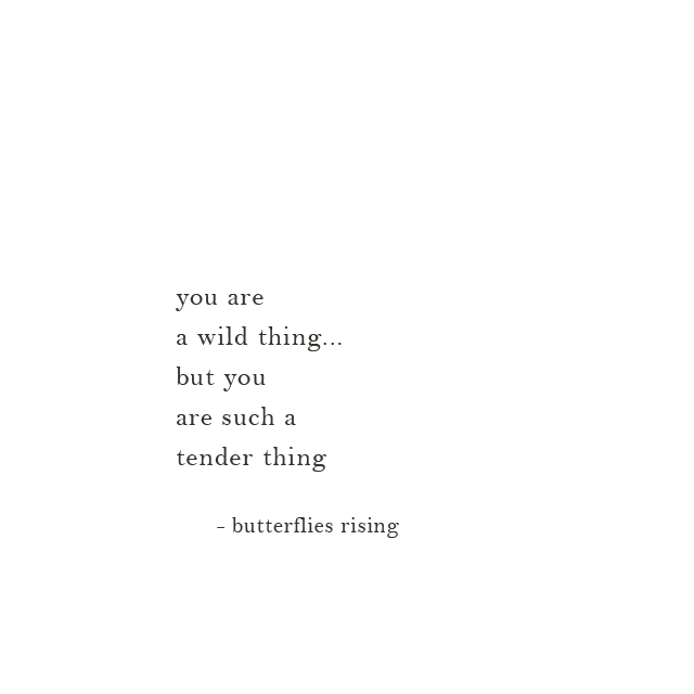 you are a wild thing... but you are such a tender thing - butterflies rising