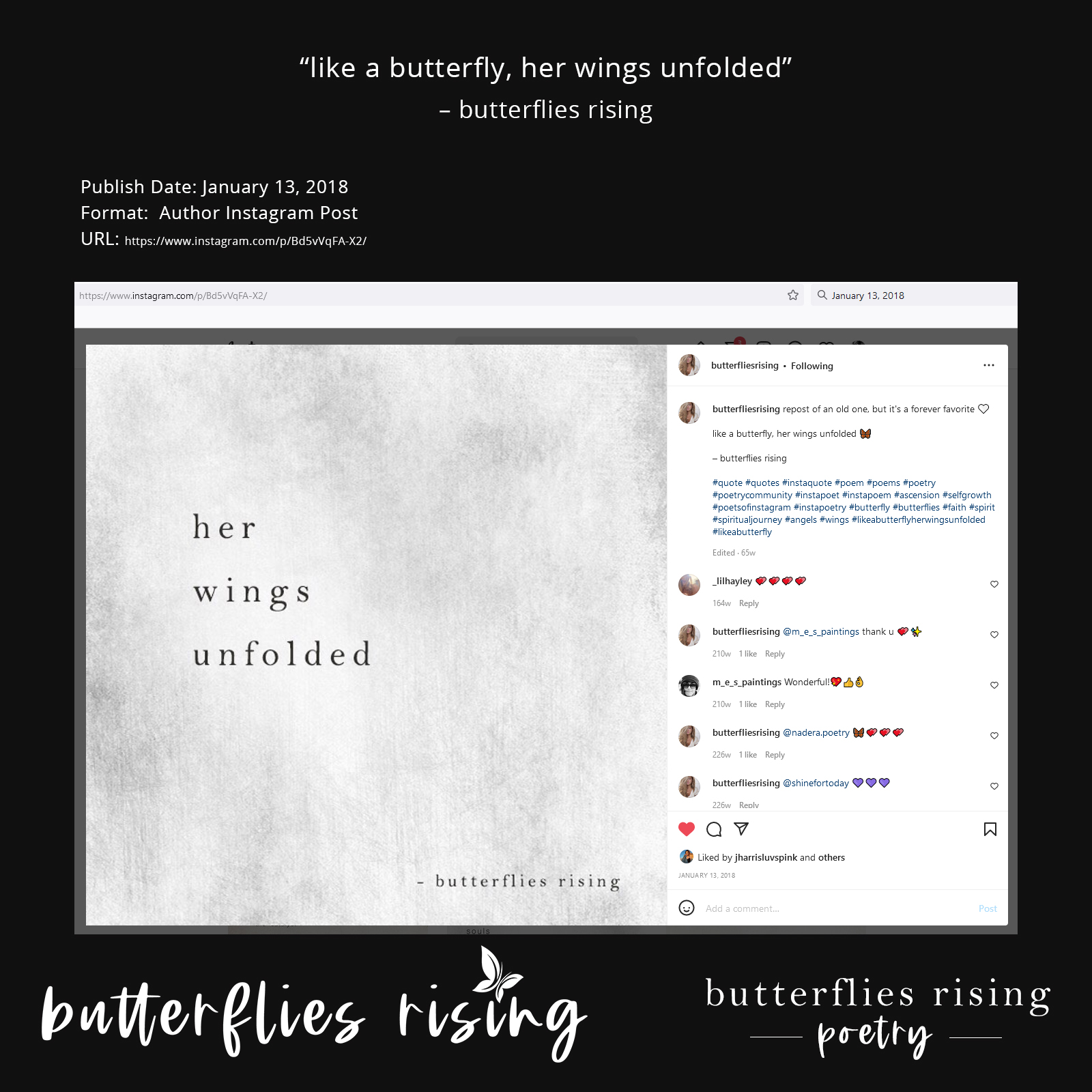 like a butterfly, her wings unfolded - butterflies rising
